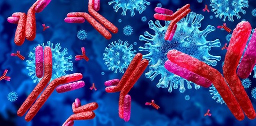INMUNOLOGIA - PRIMER PARCIAL