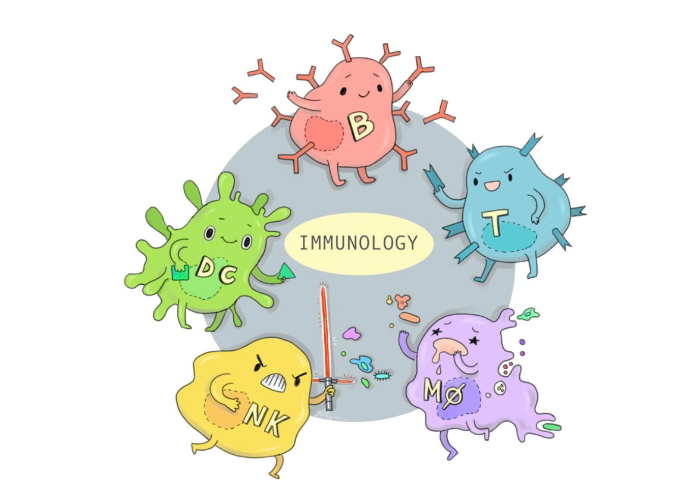 INMUNOLOGÍA 1ER PARCIAL -  Samu