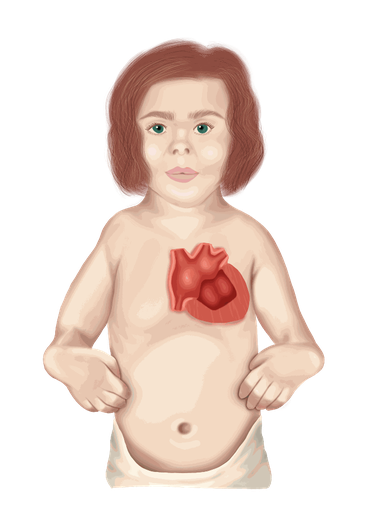 EMBRIOLOGÍA -  DR.ABDIMTZ - GLOBAL