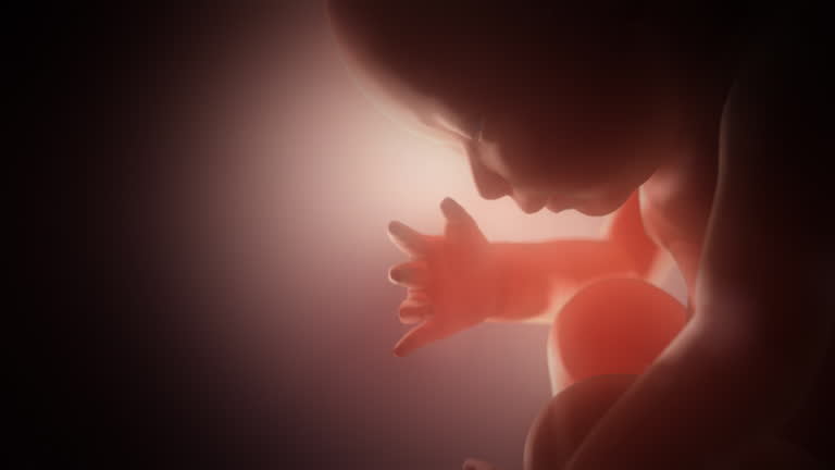 EMBRIOLOGÍA- Dr. Ayax Rizo Intensivo 2a Oportunidad Acceso Gratuito