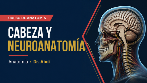 ANATOMÍA CABEZA Y NEUROANATOMÍA | DR.ABDI